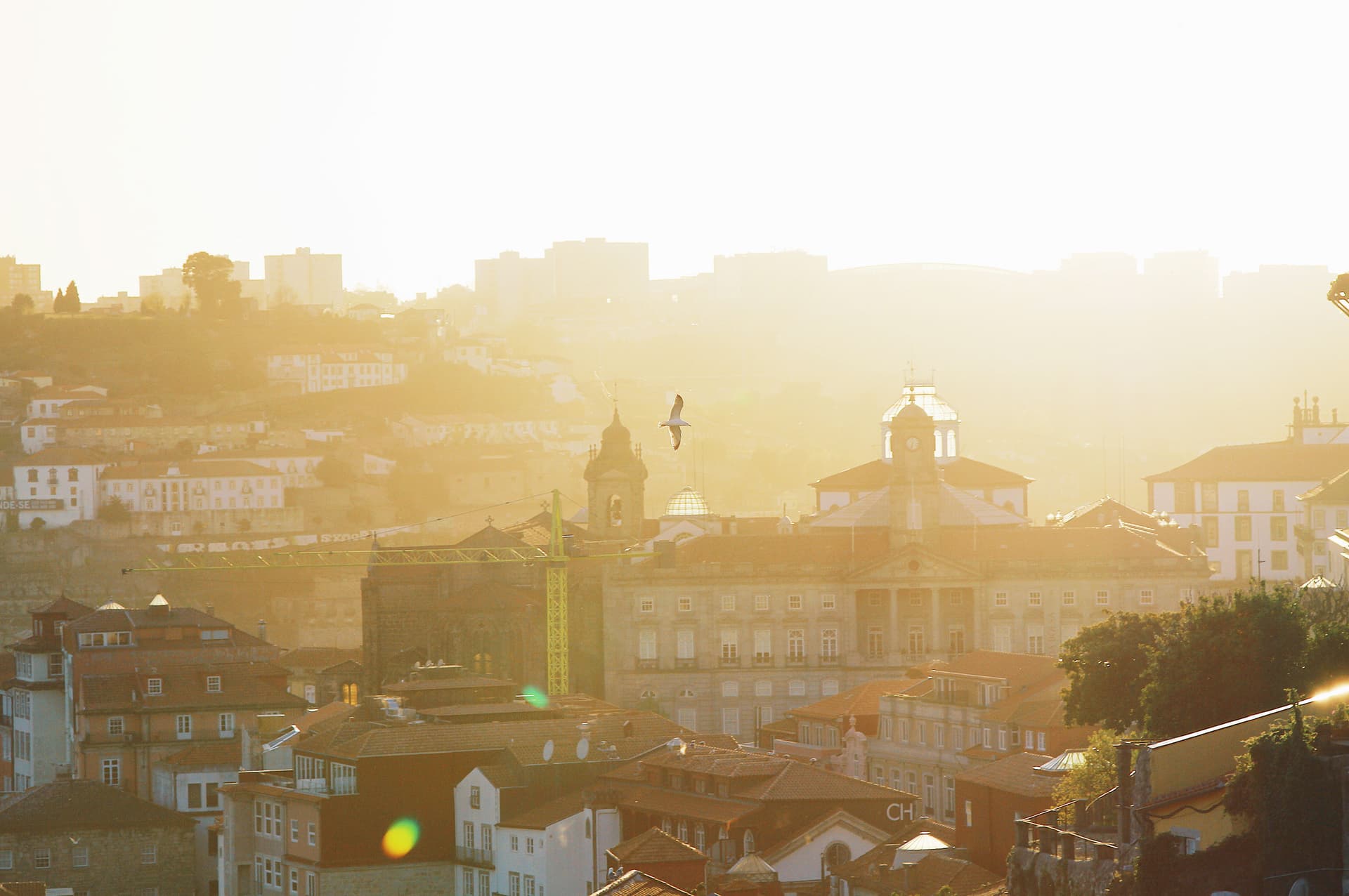 Best Porto Neighborhoods for Expats: A Guide